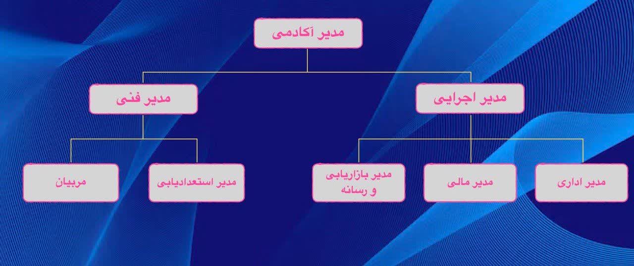 ساختار آکادمی لیان